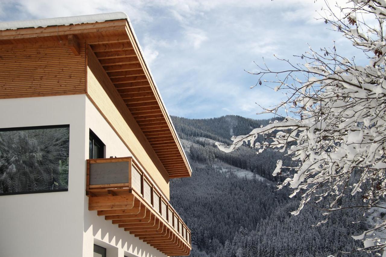 Appartements Moser Viehhofen Esterno foto